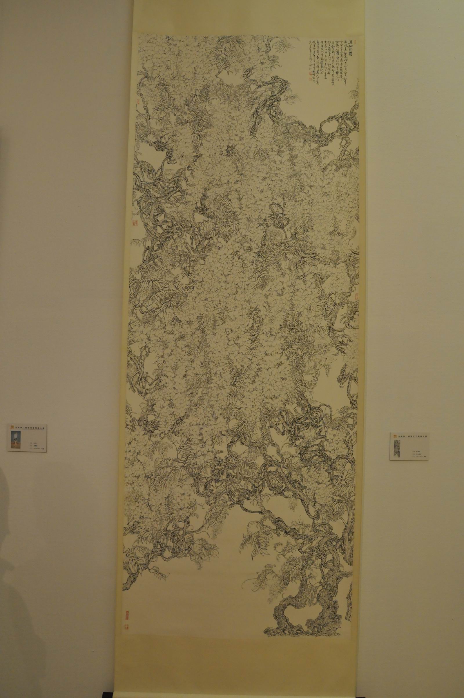 DSC_0763.JPG