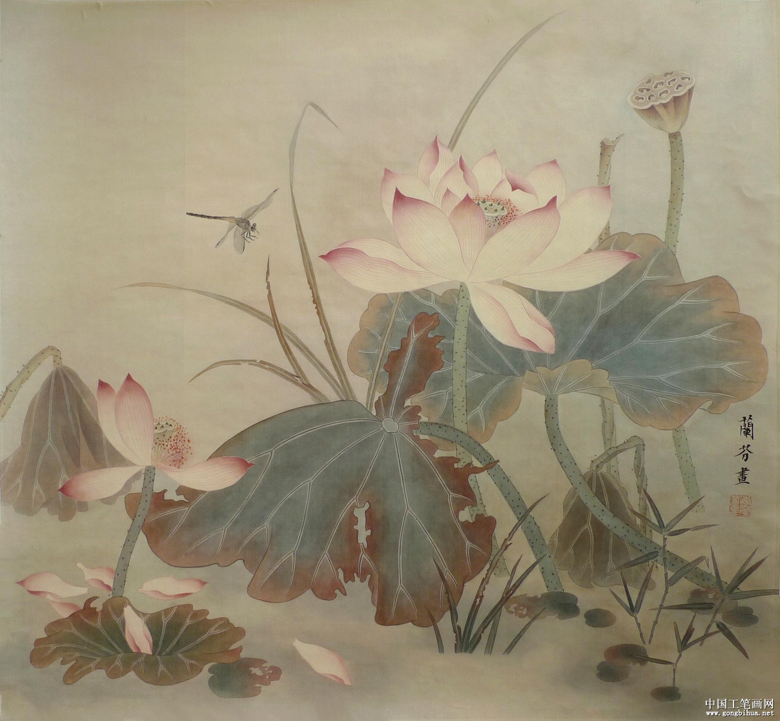 һ硷68x68cm2010.jpg