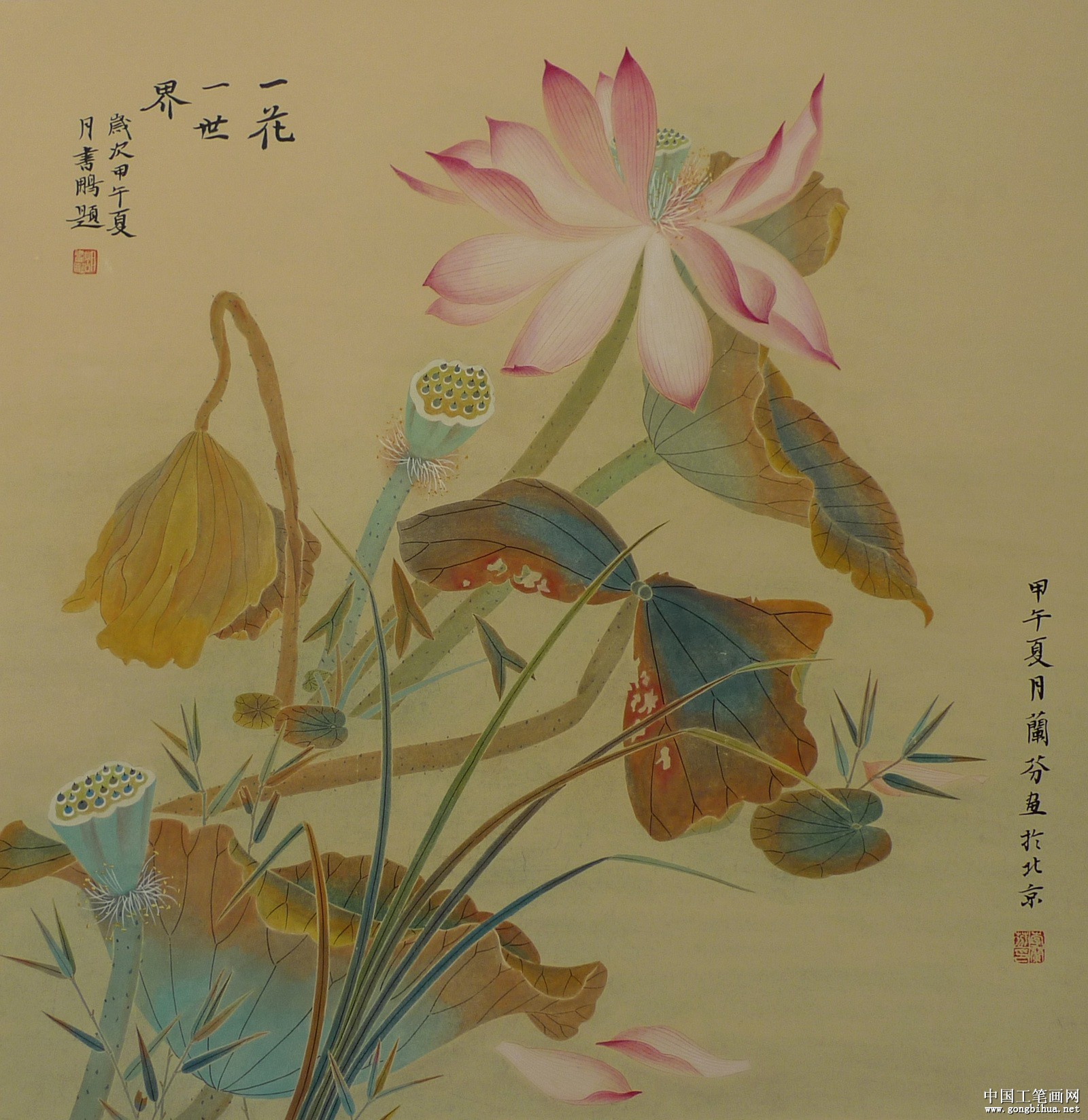 һһ硷68x68cm2014.jpg