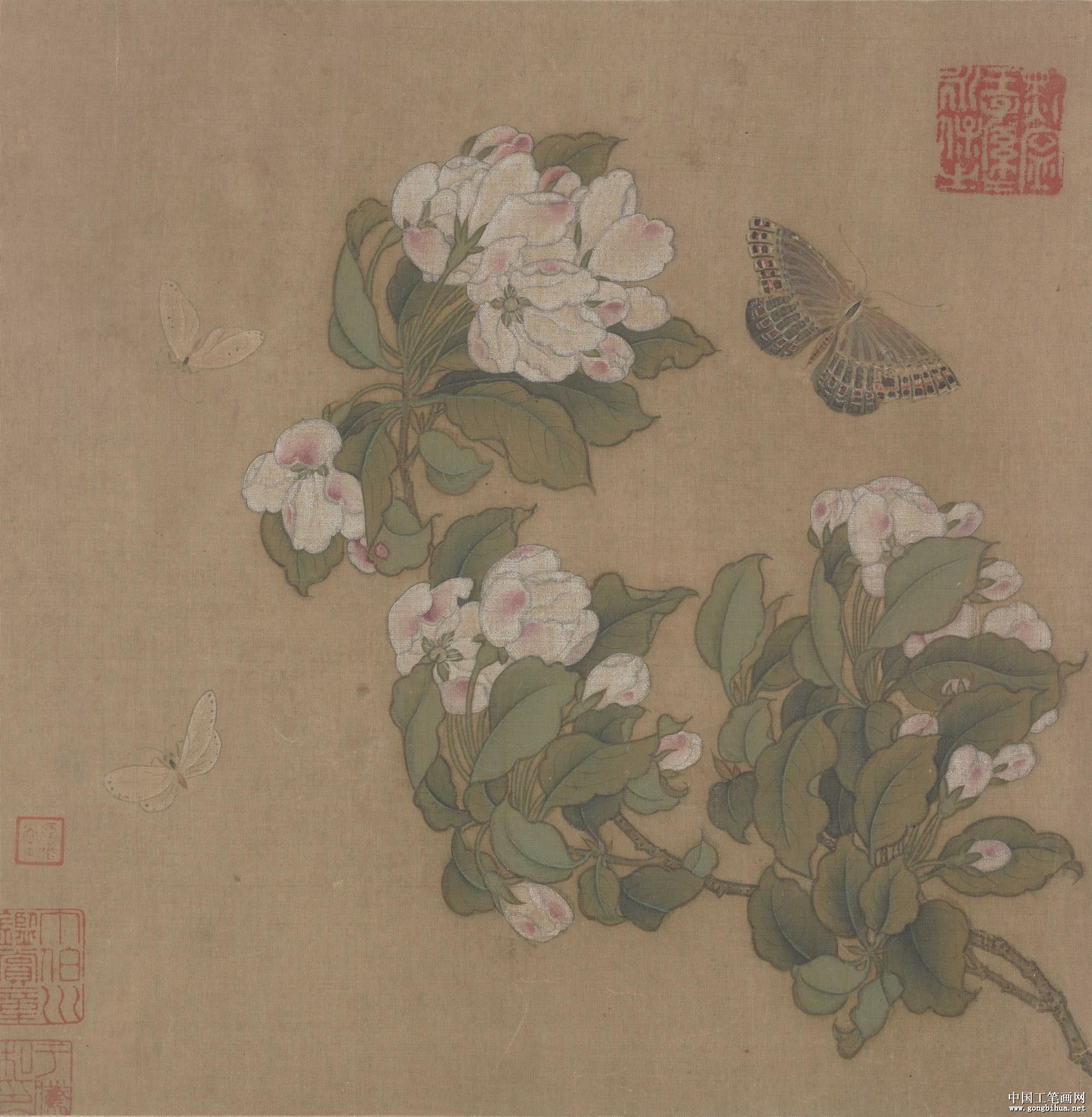  ̵ͼ 25x24.5cm.jpg