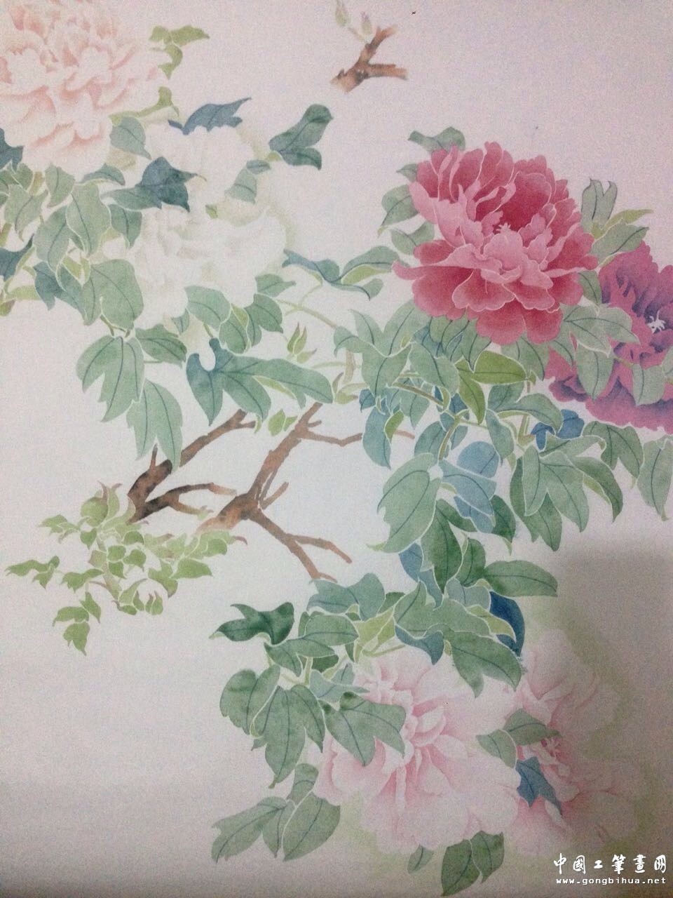 wechat_upload14767974505806240ae3573