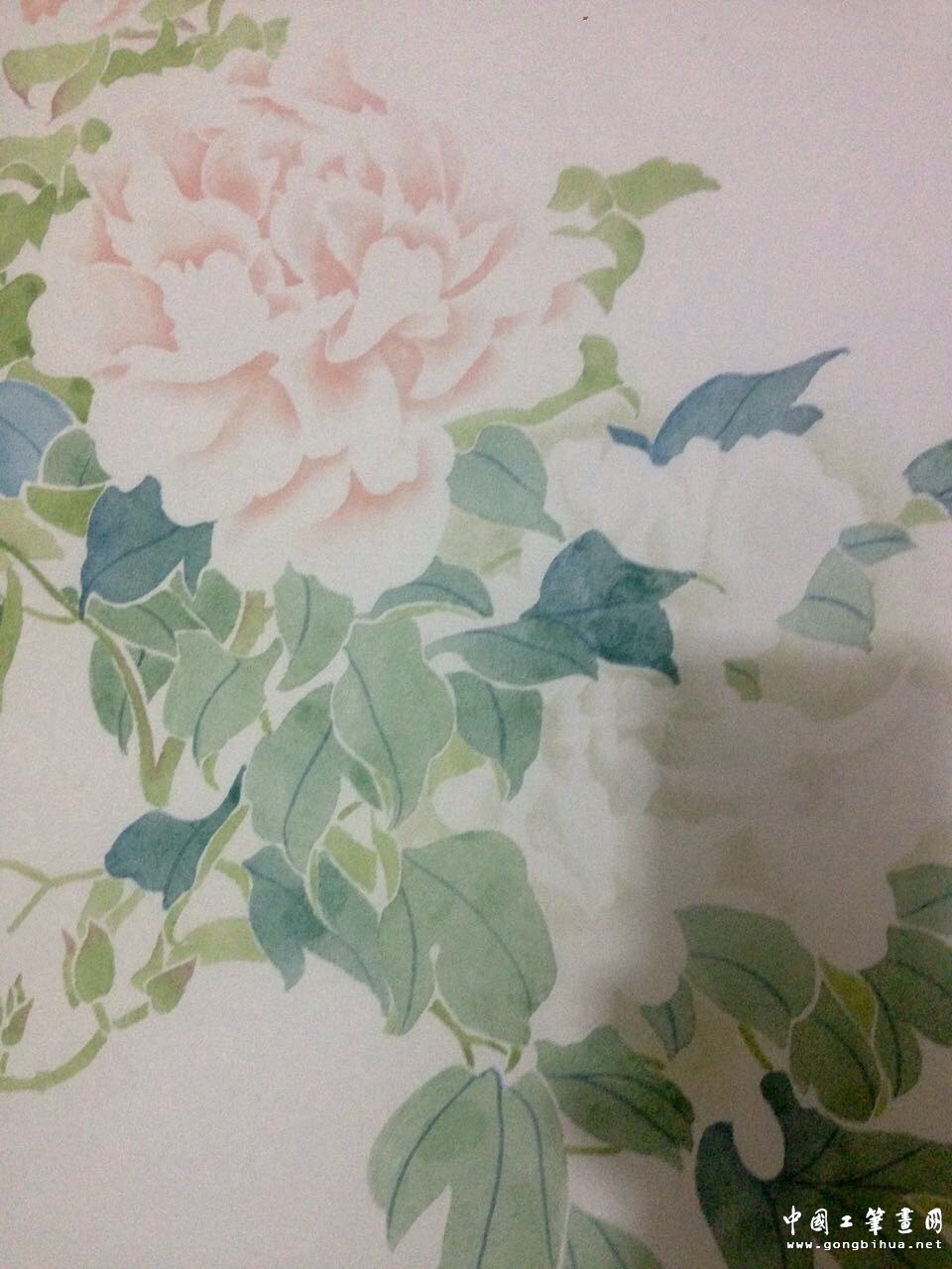 wechat_upload147679745958062413a470e