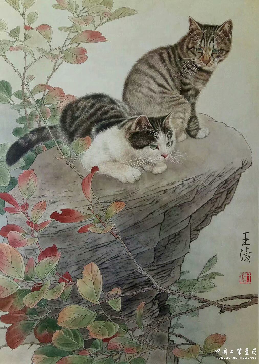 双猫图 66×45cm.jpg