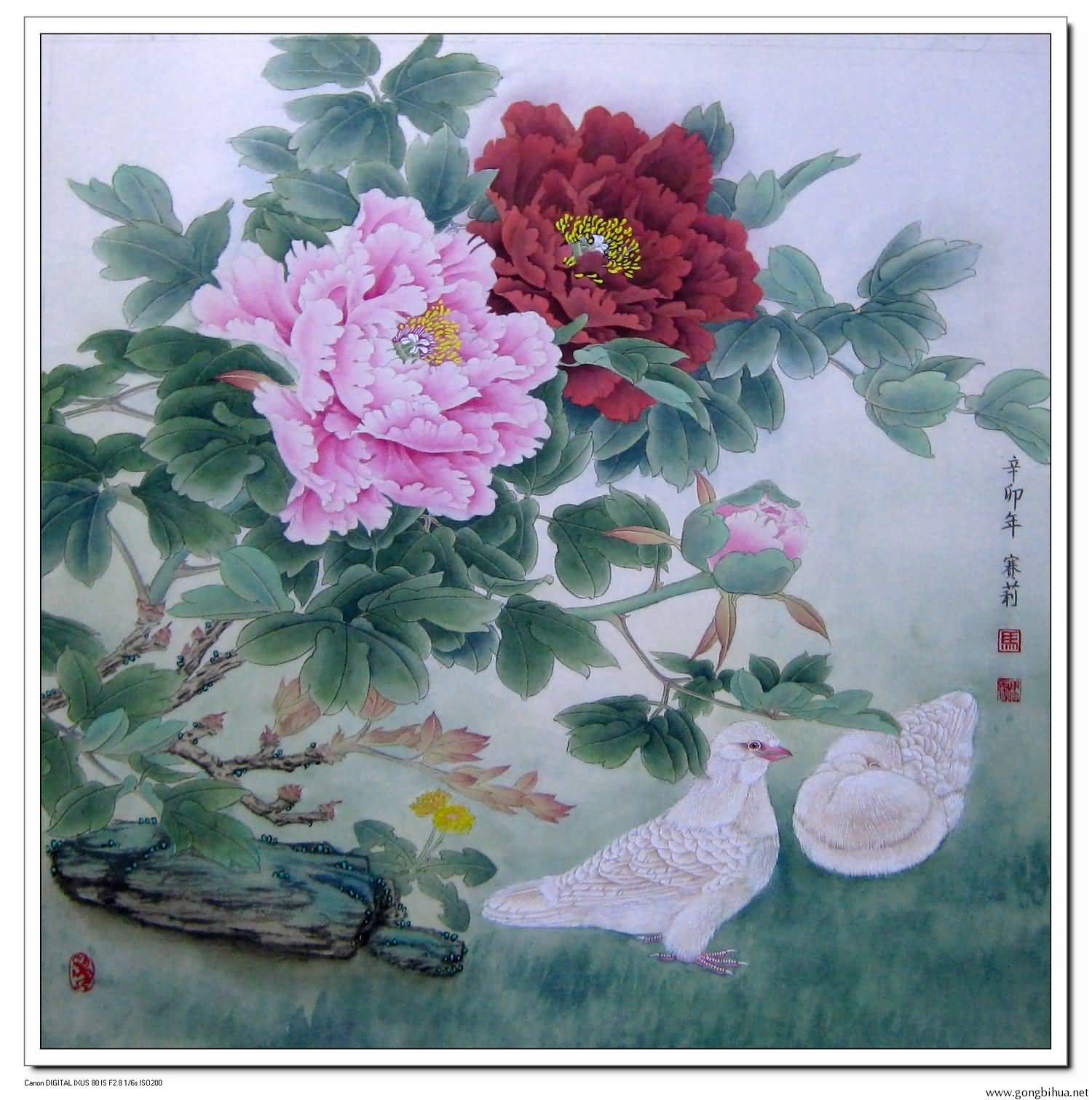 ĵ˫루ػ棩.jpg