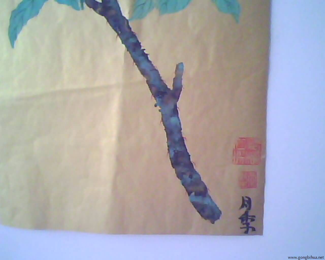IMG0365A.jpg