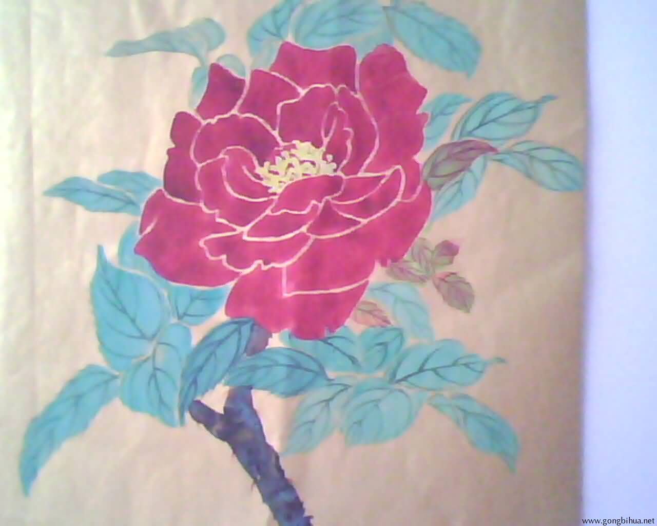 IMG0366A.jpg