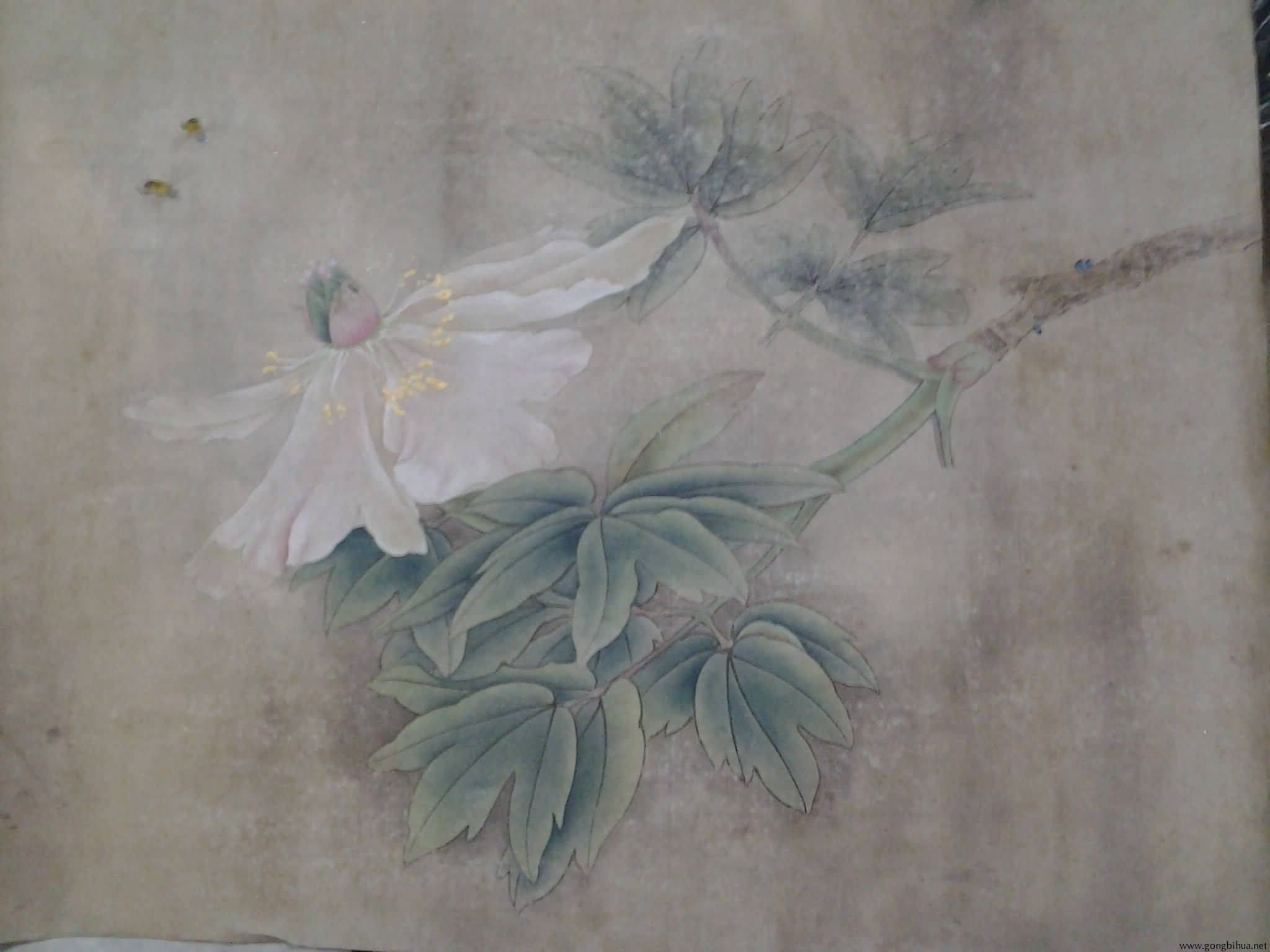 2012-07-12 20.32.45.jpg
