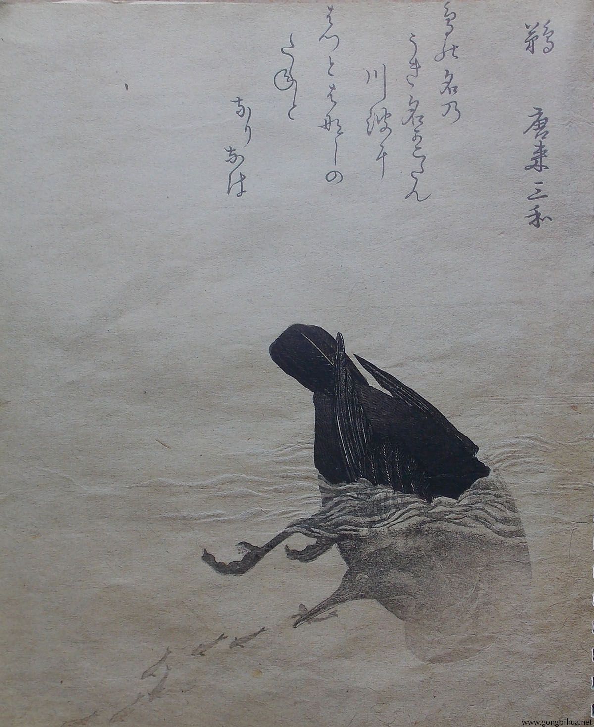 rbh049.jpg