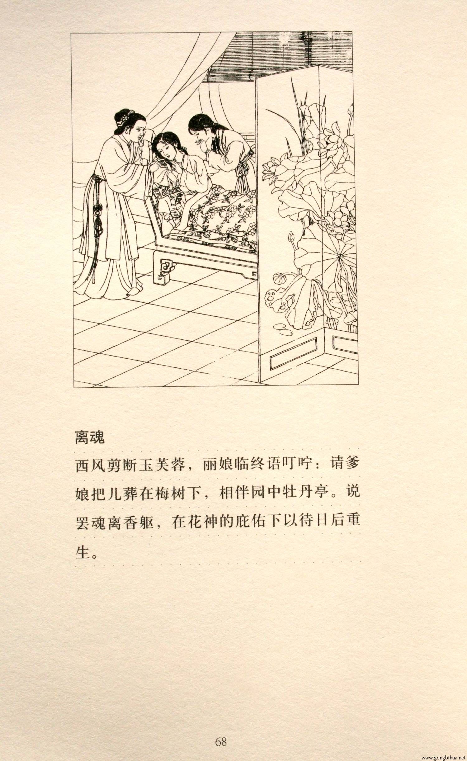 68.jpg