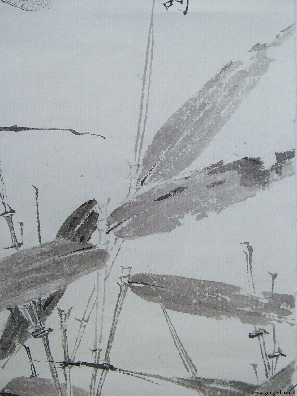 DSCF1670.JPG