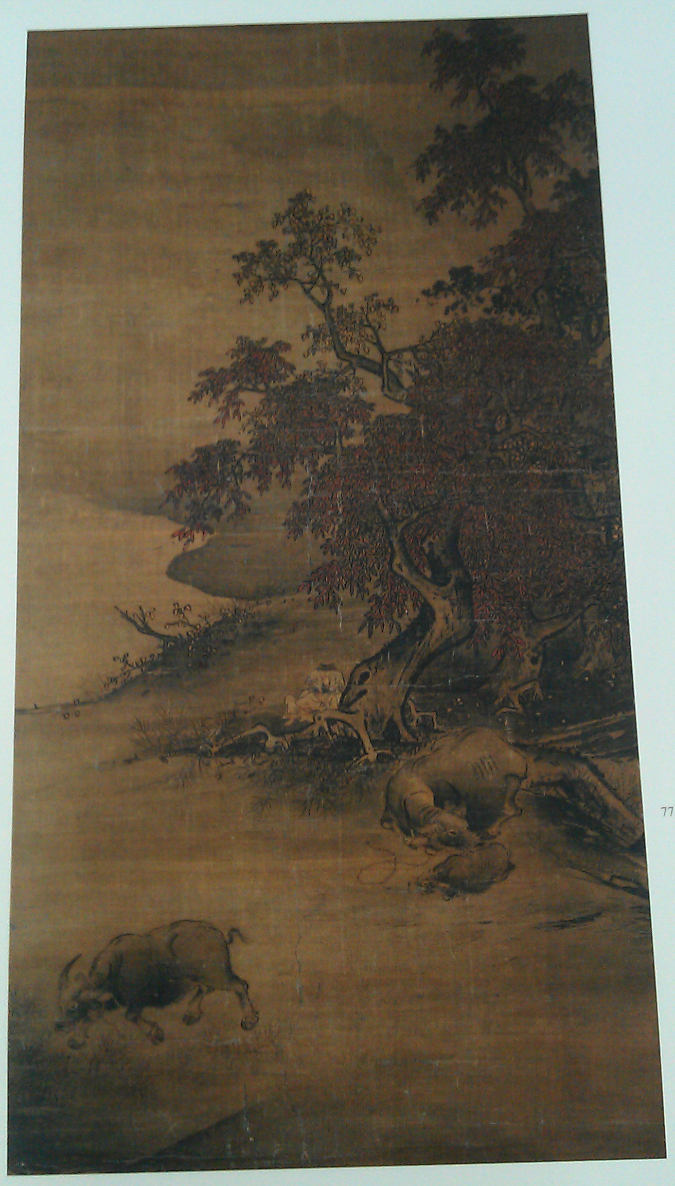 IMAG3617.jpg