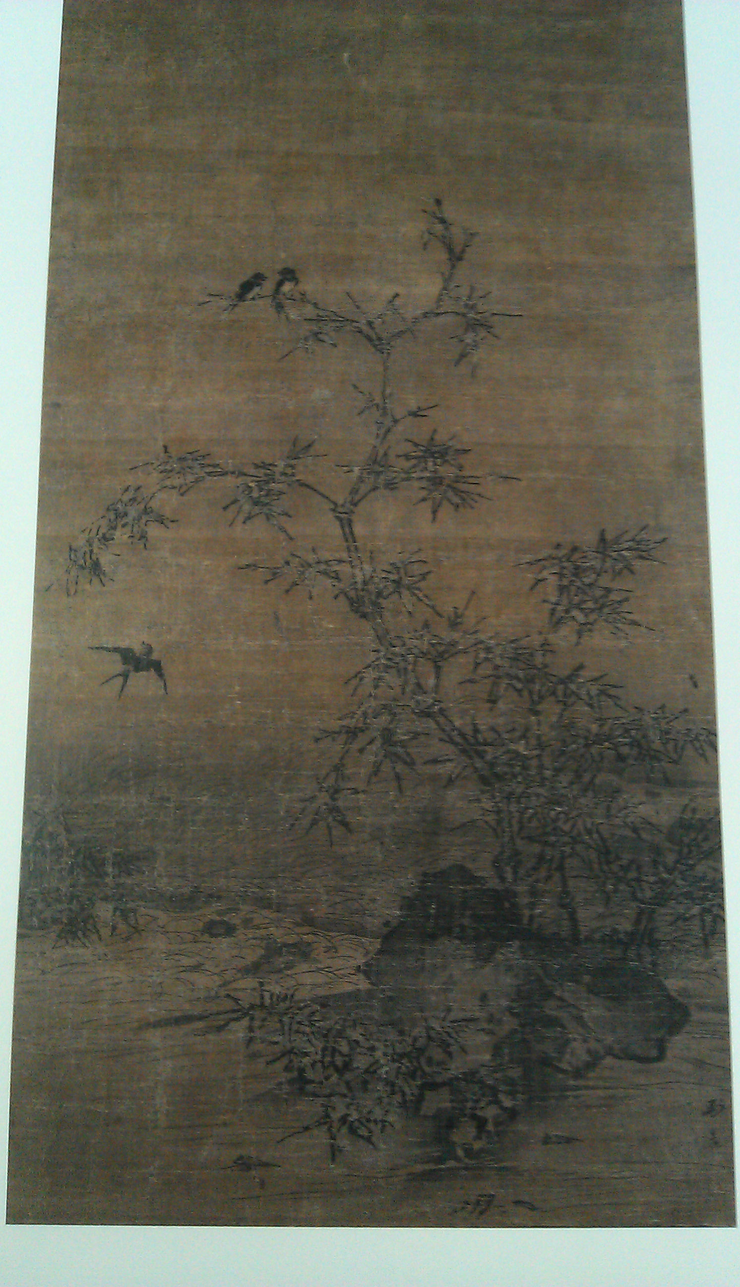 IMAG3616.jpg