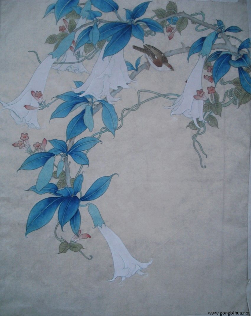 dscf6531_conew1.jpg